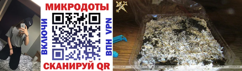 Псилоцибиновые грибы Magic Shrooms  Курлово 